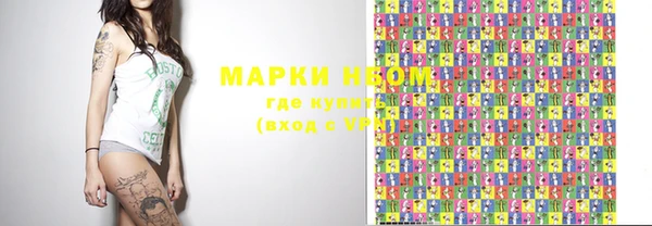 индика Арсеньев