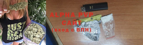 индика Арсеньев