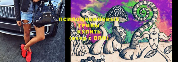 каннабис Баксан