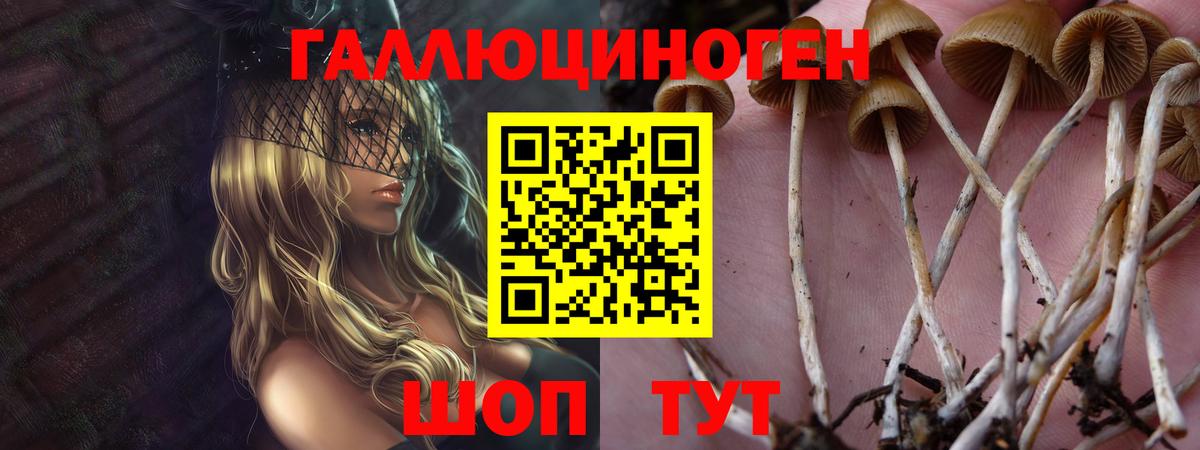 Псилоцибиновые грибы прущие грибы  Вход с VPN  Заречный 